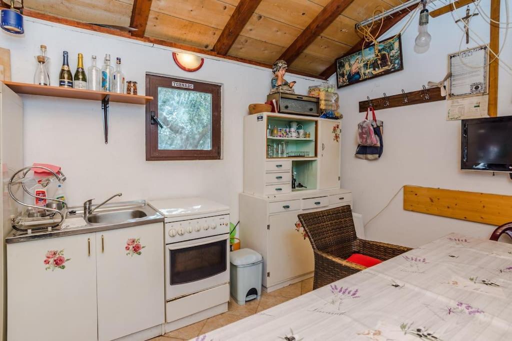 Apartment Roko - Up To 4 People With Free Parking Zara Esterno foto